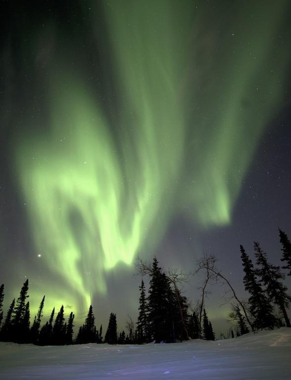 Aurora Inn Dawson City Dış mekan fotoğraf