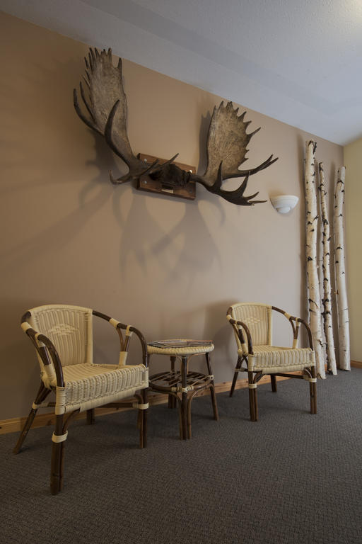 Aurora Inn Dawson City Dış mekan fotoğraf