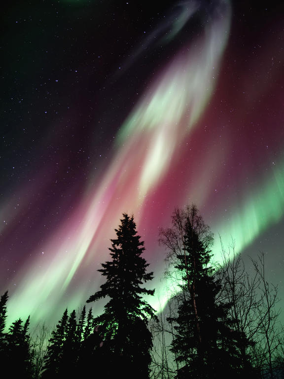 Aurora Inn Dawson City Dış mekan fotoğraf